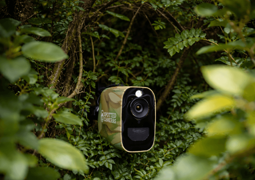 4G Wildlife & Battery Cameras