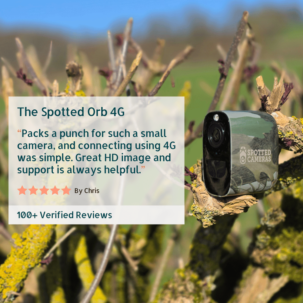 Spotted Orb 4G - Camo