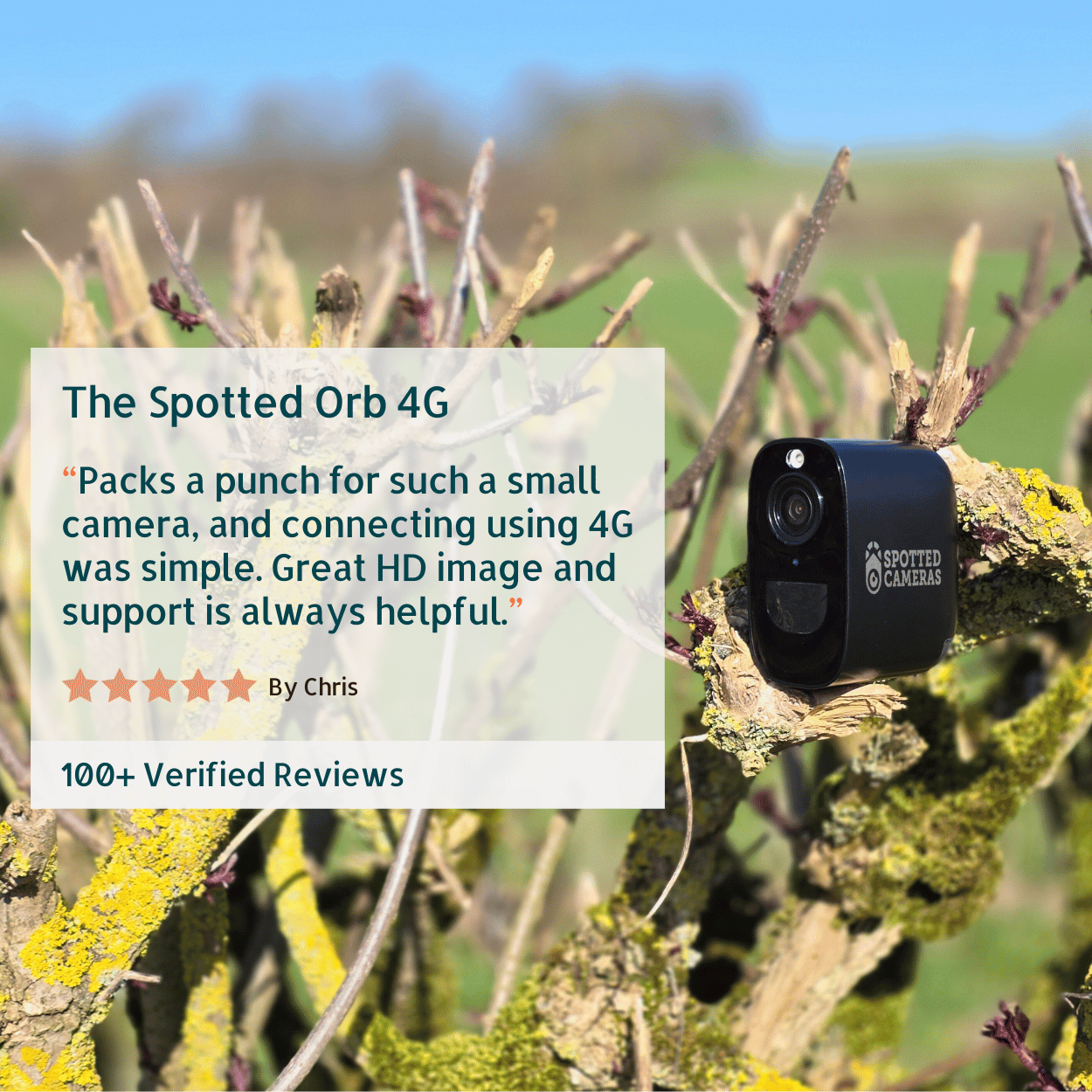 Spotted Orb 4G - Black